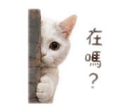 841233043