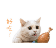 841233051