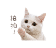 841233055