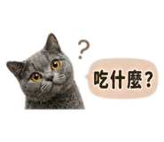 841233154