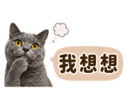 841233156