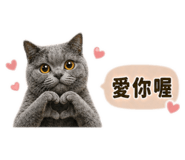 841233174