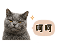 841233176