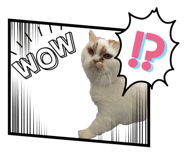 841233418