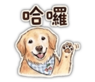 841233433