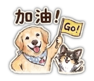 841233434