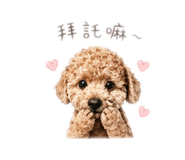 841233458