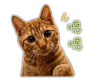 841234012