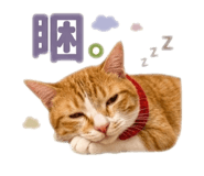 841234027