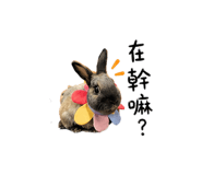 841234147