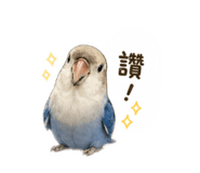 841234335