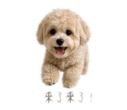 841234460