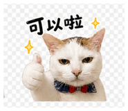 841234568