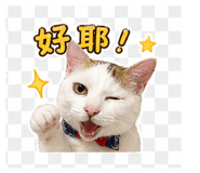 841234569