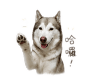 841234905
