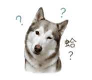 841234910
