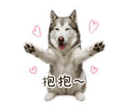 841234919