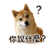 841234933