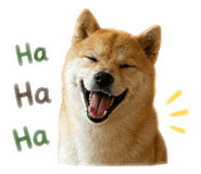 841234941