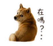 841234942