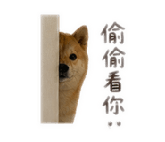 841234943
