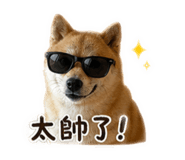 841234949