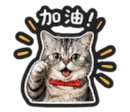 841235454