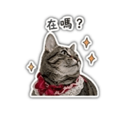 841235469