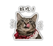 841235474