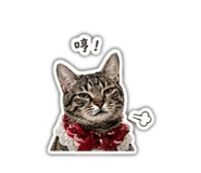 841235485