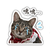 841235503