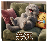 841235560