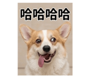 841235683