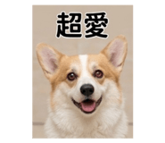 841235685