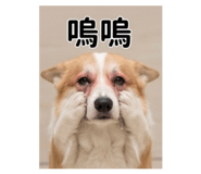 841235688