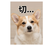 841235690