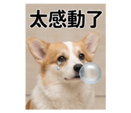 841235694