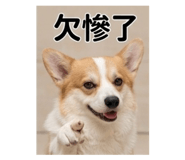 841235696