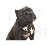 841236278
