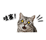 841236346