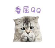841236410