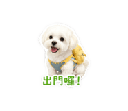 841236661