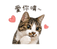 841236786
