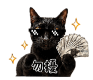 841236997