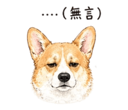 841237202