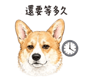 841237205