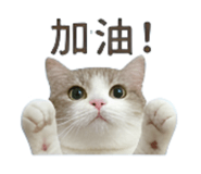 841237400