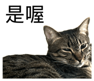 841237496