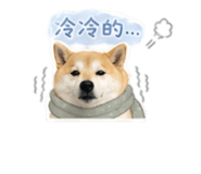 841238377