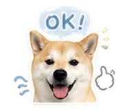 841238378